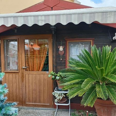 Nonna Lori'S Chalet Pisa Zona Stazione E Aeroporto Exteriér fotografie